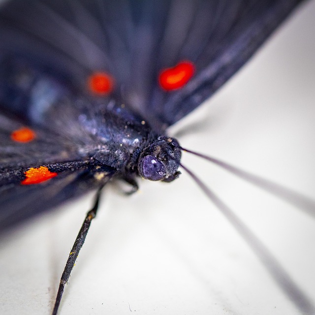 arquitectura minimalista blanco y negro con luz y sombra marcada